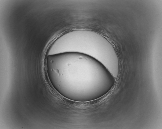 X0000110320293200905211211