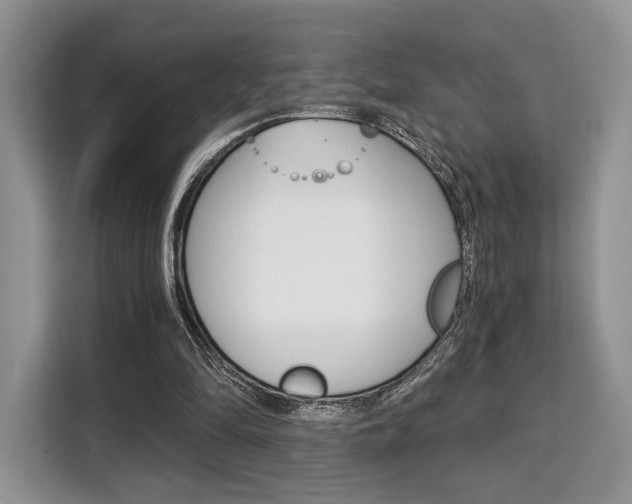 X0000110320294200905211211