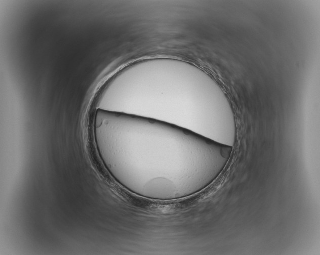 X0000110320295200905211211