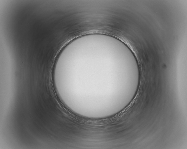 X0000110320297200905211211