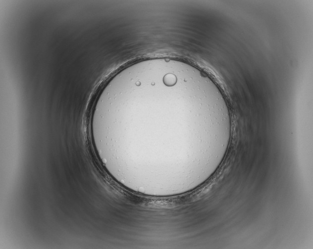 X0000110320298200905211211