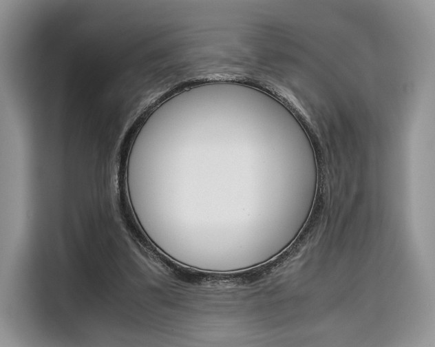 X0000110320299200905211211