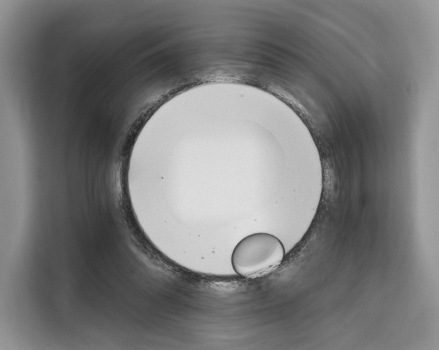 X0000110320302200905211211