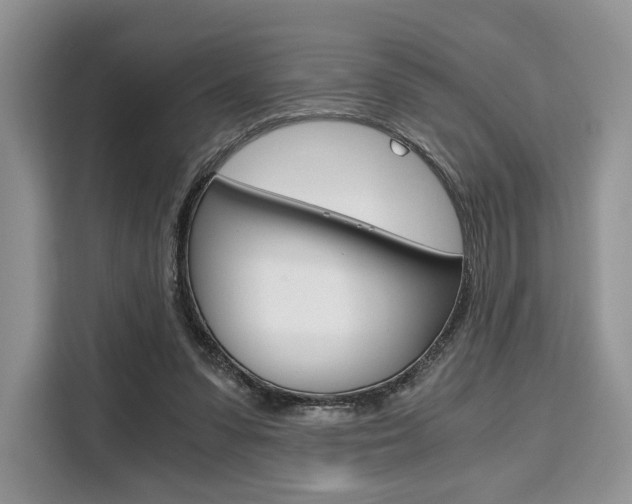 X0000110320303200905211211