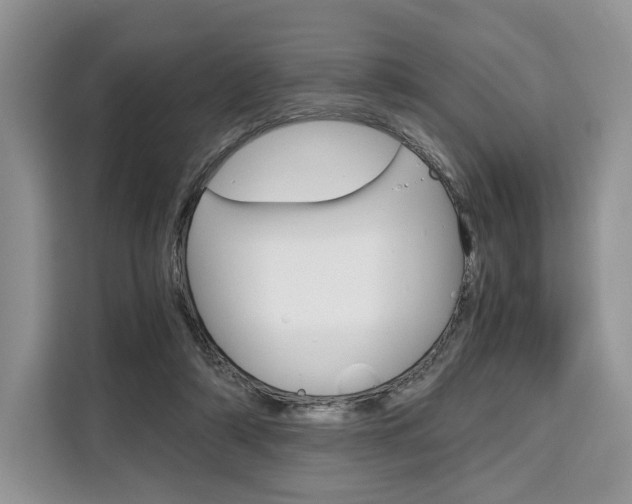X0000110320306200905211211