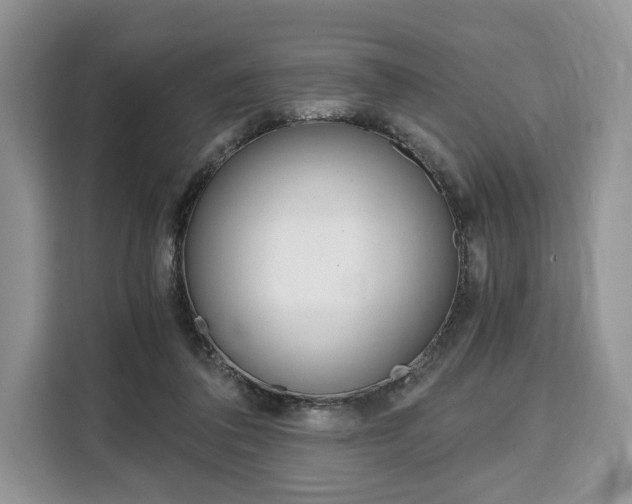 X0000110320308200905211211