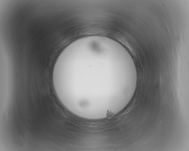 X0000110320309200905211211