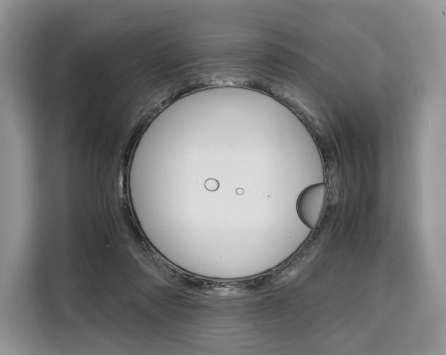 X0000110320310200905211211