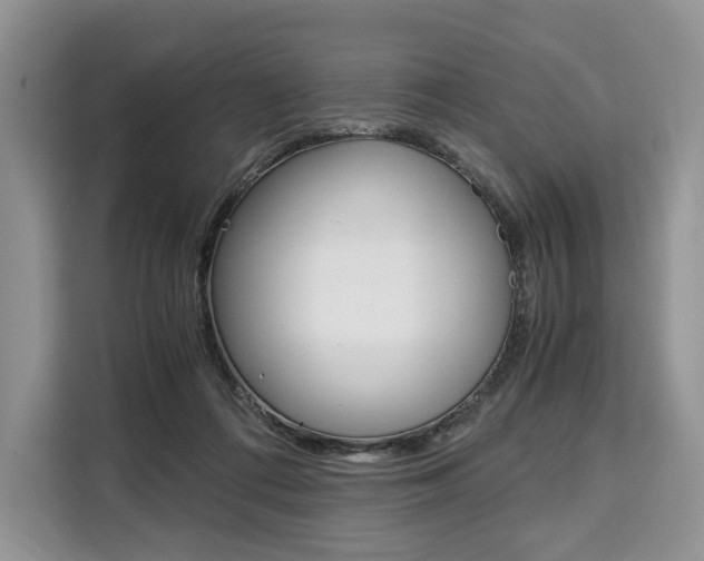X0000110320312200905211211