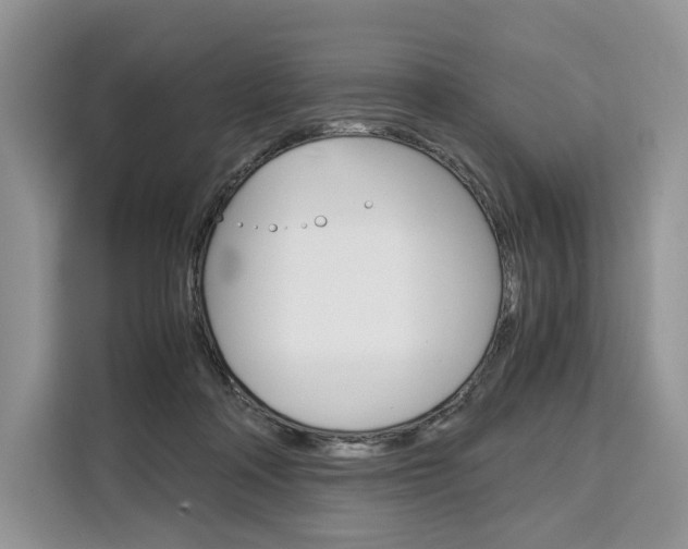 X0000110320314200905211211