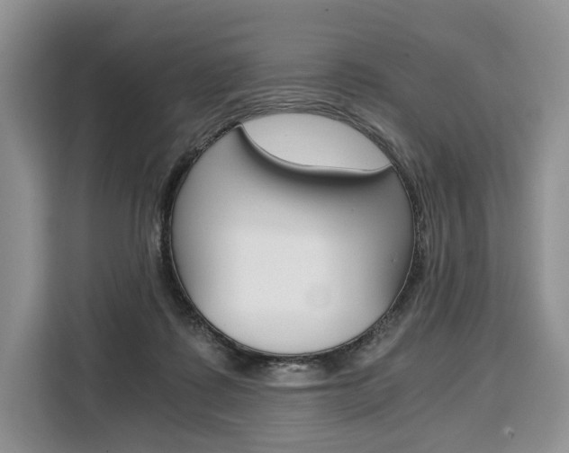 X0000110320315200905211211