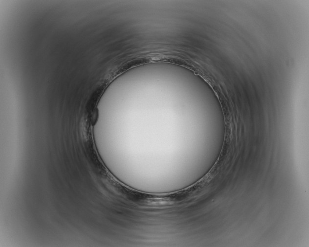X0000110320316200905211211