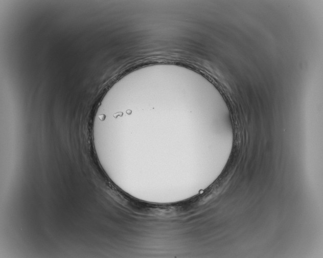 X0000110320317200905211211