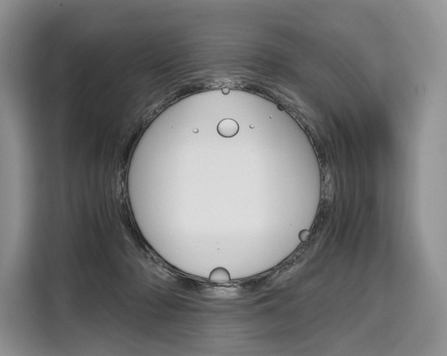 X0000110320318200905211211