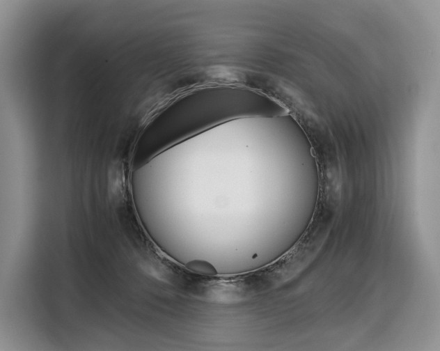 X0000110320320200905211211