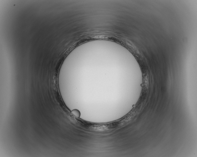 X0000110320322200905211211