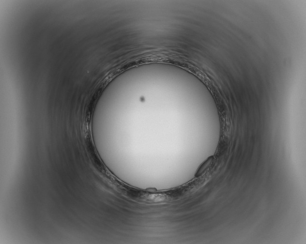 X0000110320324200905211211
