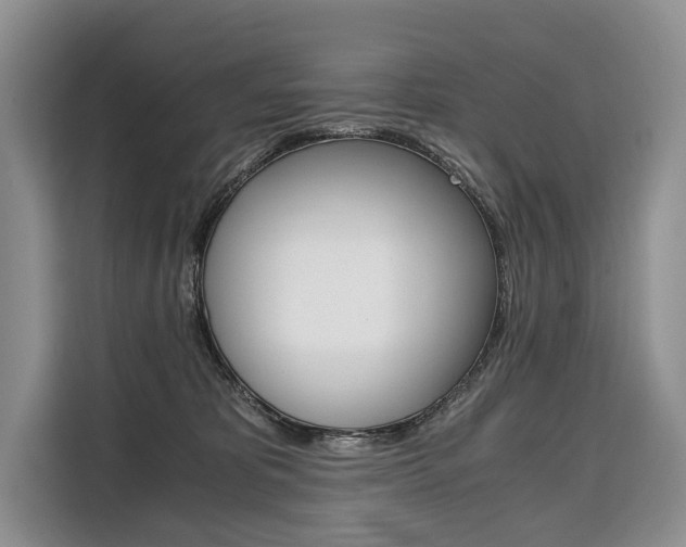 X0000110320325200905211211