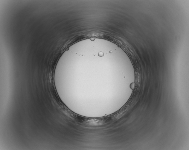 X0000110320326200905211211