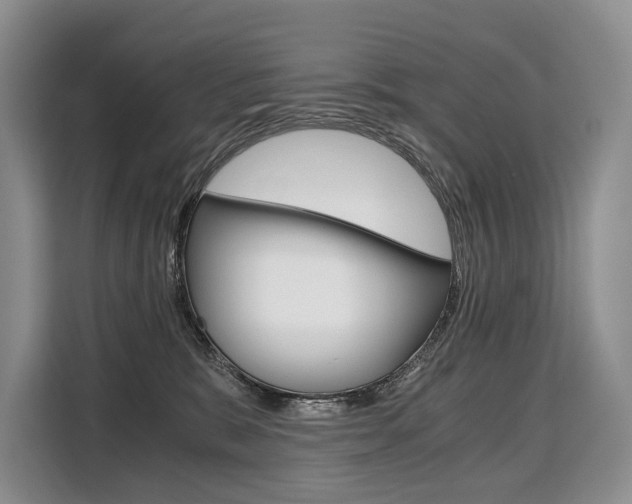 X0000110320327200905211211