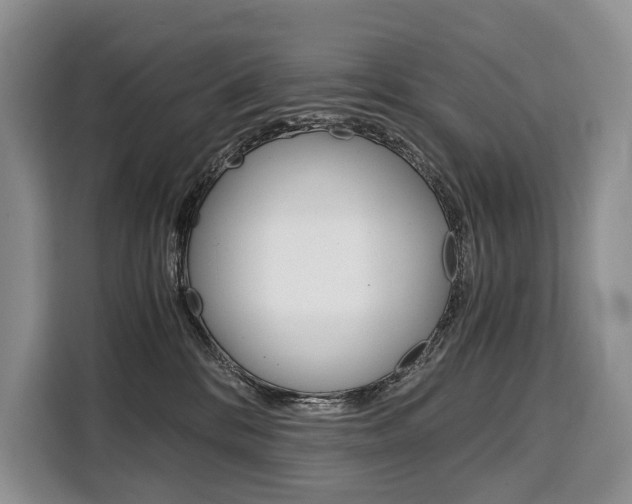 X0000110320328200905211211