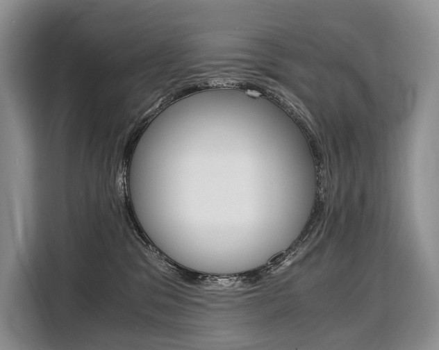X0000110320329200905211211