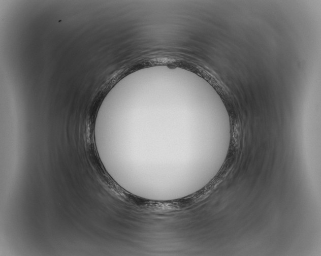 X0000110320330200905211211