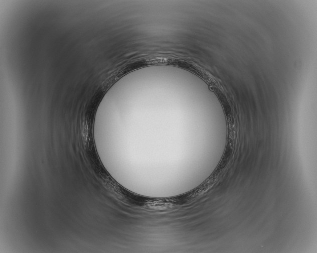 X0000110320331200905211211