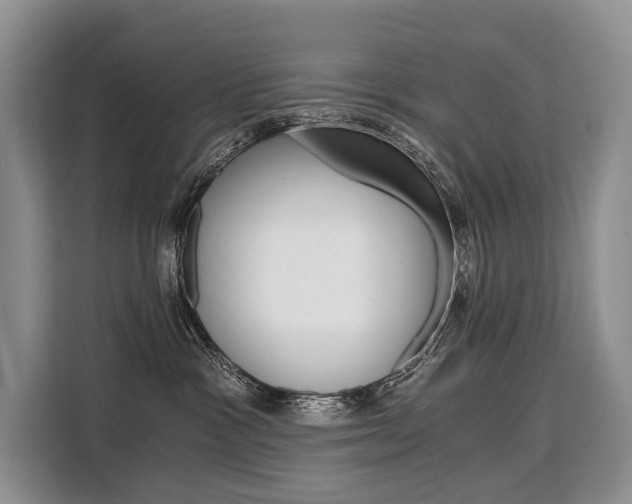 X0000110320333200905211211