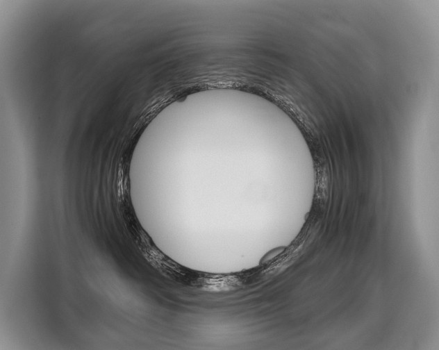 X0000110320334200905211211
