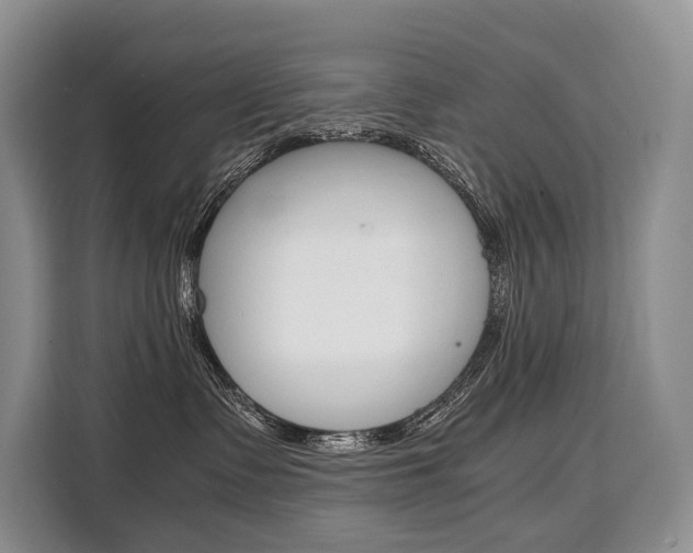 X0000110320335200905211211