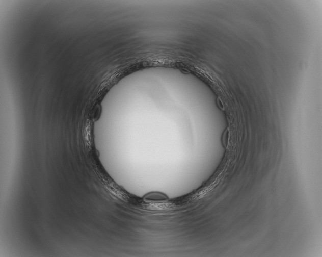X0000110320336200905211211