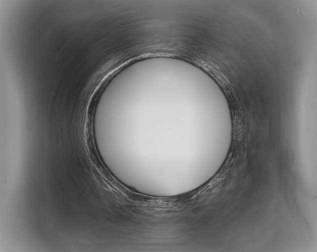 X0000110320338200905211210