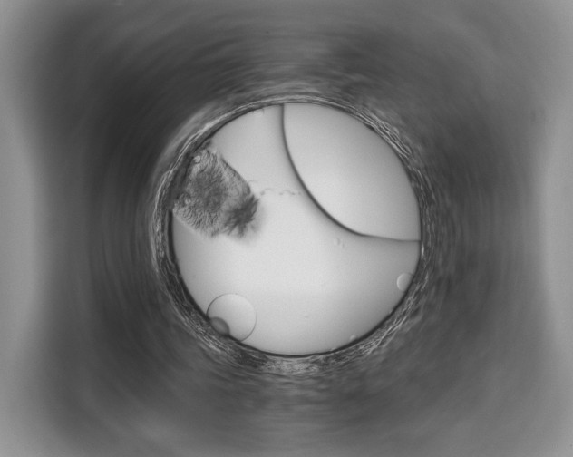 X0000110320339200905211210