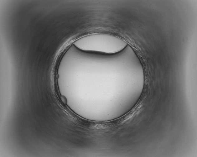 X0000110320341200905211210
