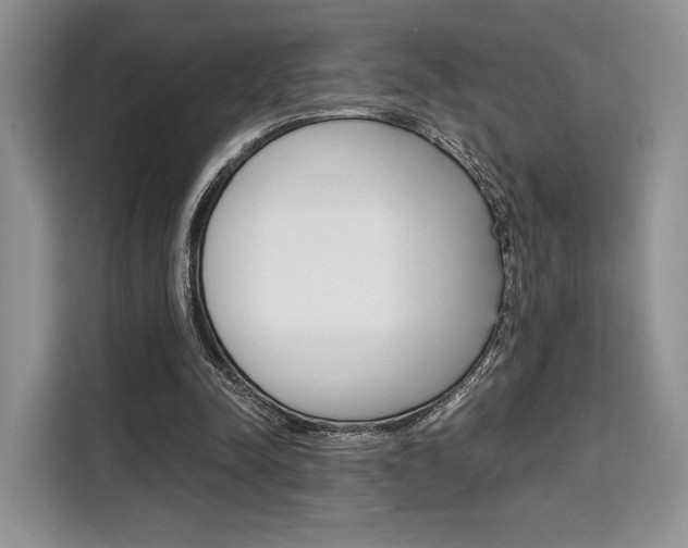 X0000110320342200905211210