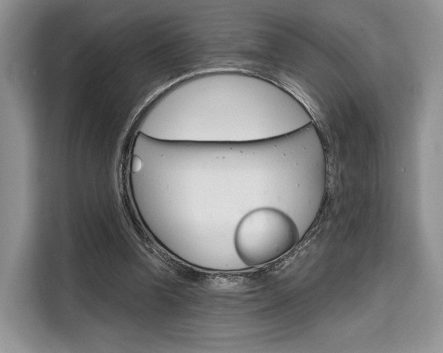 X0000110320346200905211210