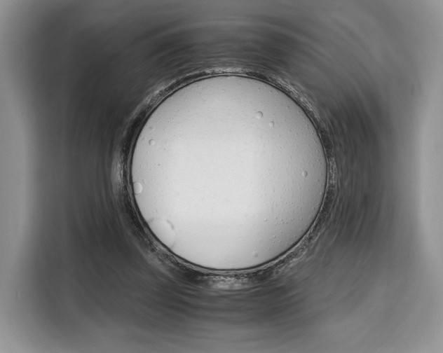 X0000110320347200905211210