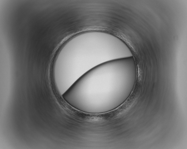 X0000110320348200905211210
