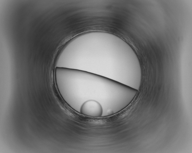 X0000110320349200905211210