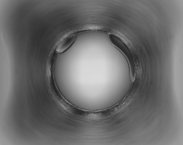X0000110320350200905211210