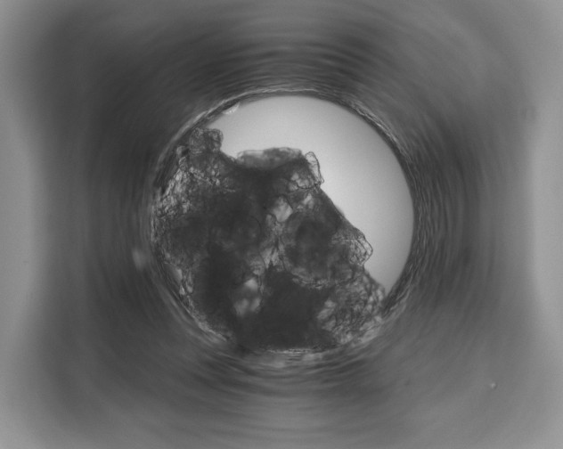 X0000110320351200905211210