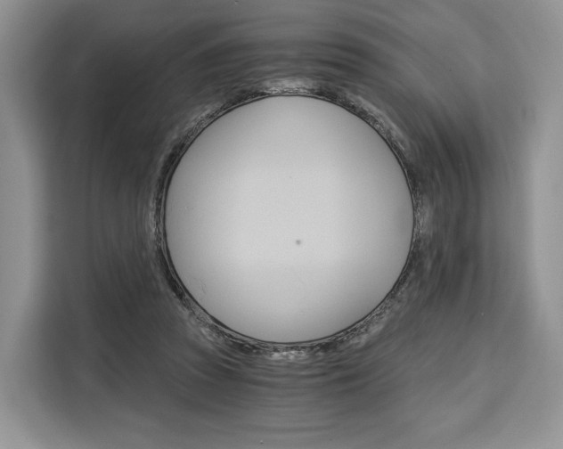 X0000110320353200905211210
