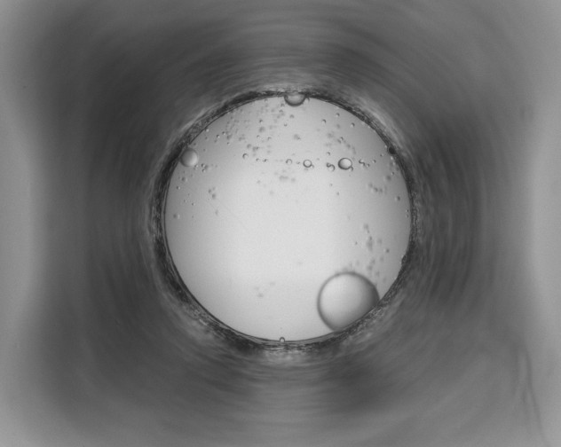X0000110320354200905211210