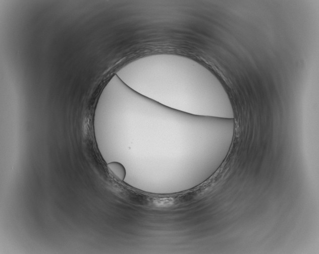 X0000110320355200905211210