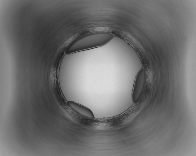 X0000110320356200905211210