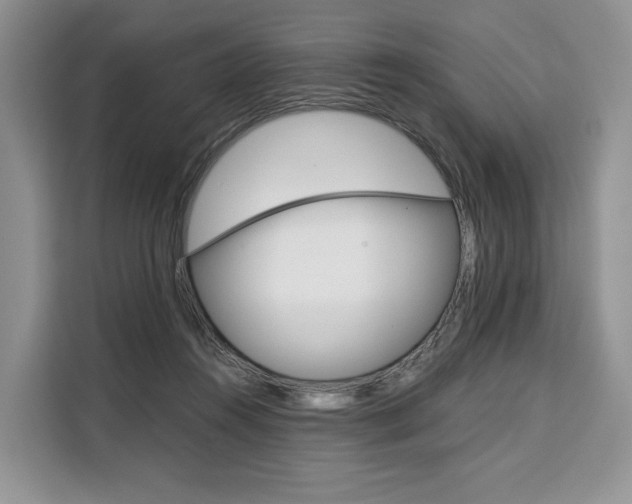 X0000110320360200905211210