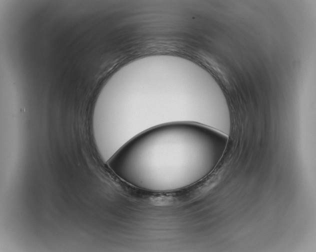 X0000110320362200905211210