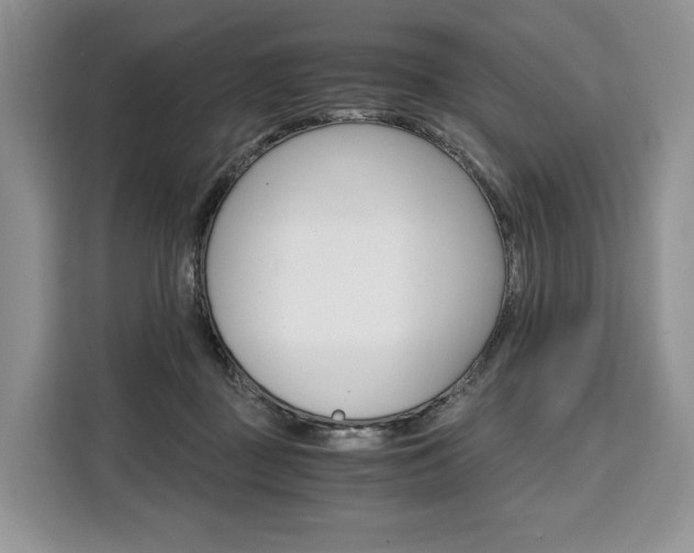 X0000110320363200905211210