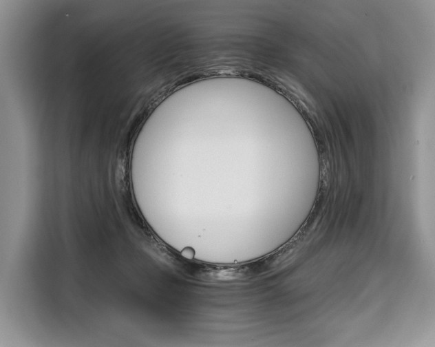 X0000110320365200905211210